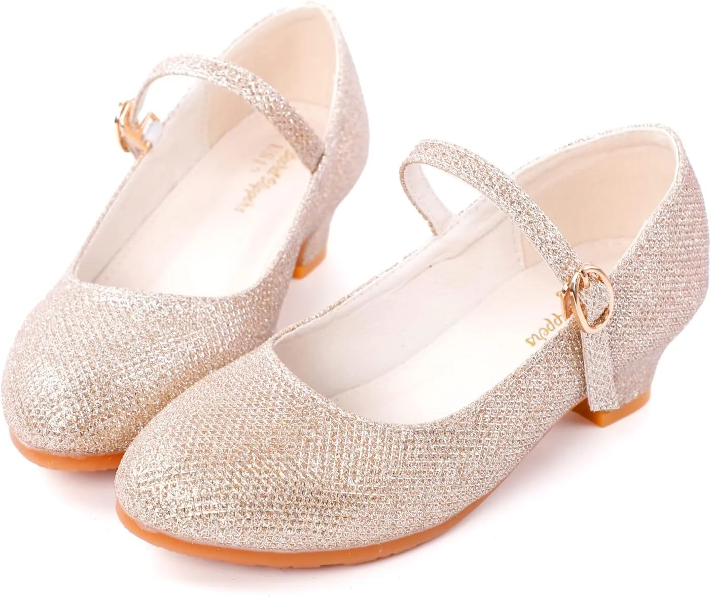 BEARAE Girls Mary Jane Shoes Party Dress Shoes Low Heel Girls Dress Shoes Wedding Party Mary Jane Princess Shoes for Kids