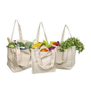 Best Canvas Grocery Bag