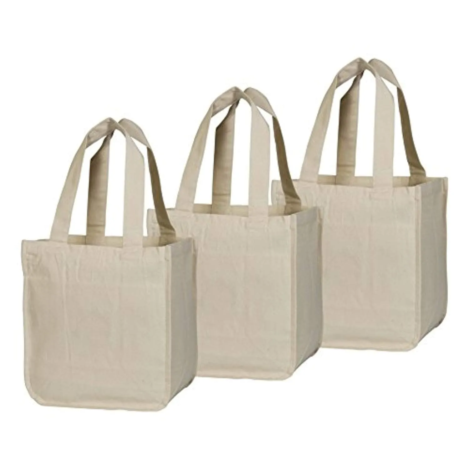 Best Canvas Grocery Bag