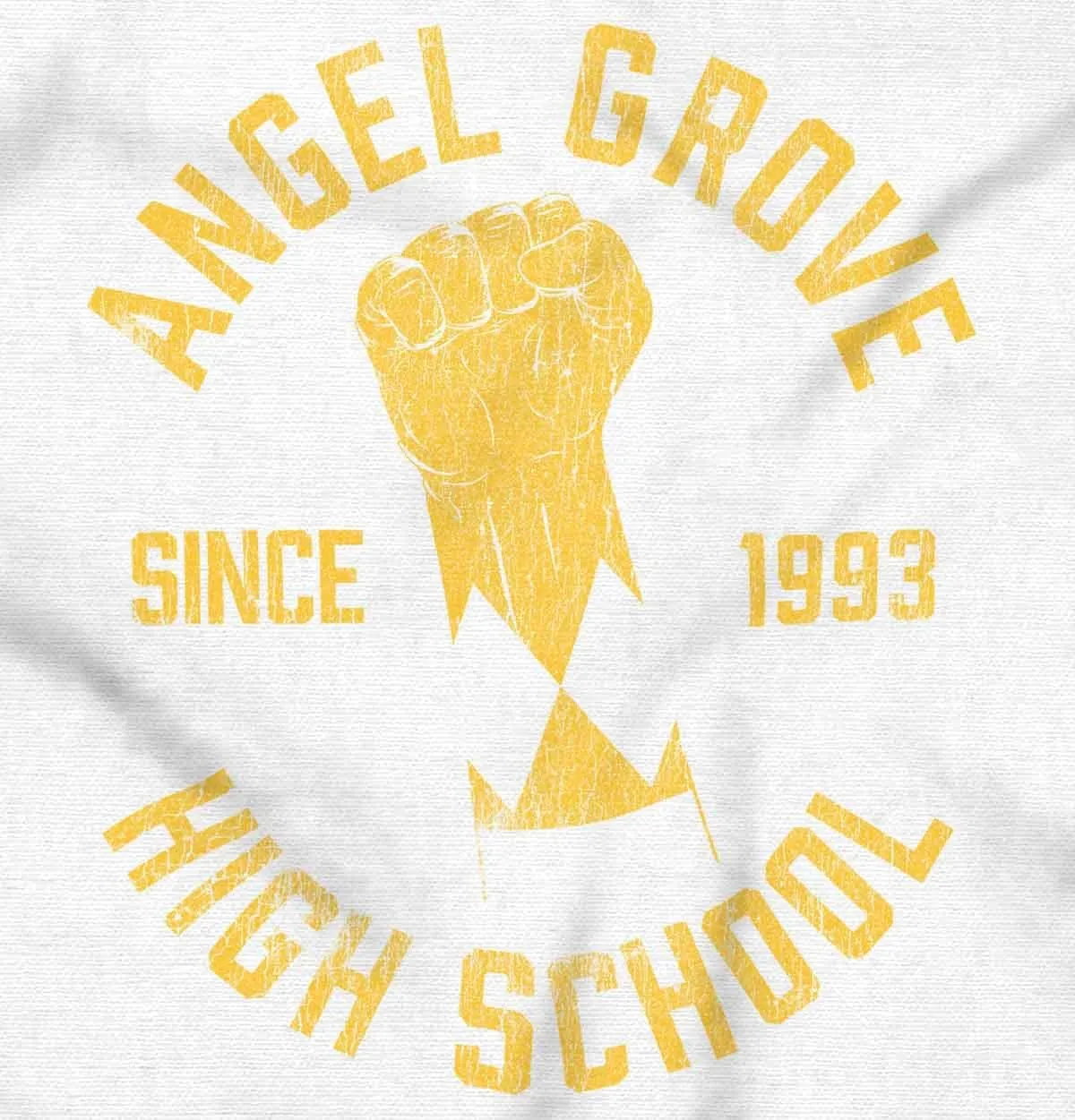 Brisco Brands Angel Grove High School Since 1993 Hoodie Sweatshirt Women Men