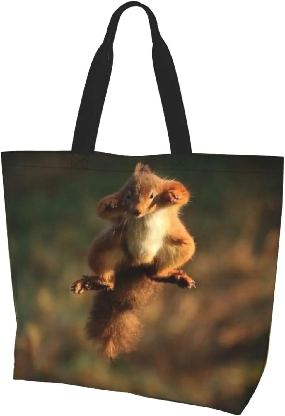 Cute Squirrel Grocery Bag Cute Shoulder Bag Handbag Shopping Squirrel Grocery Bags Tote Bag Canvas Bag