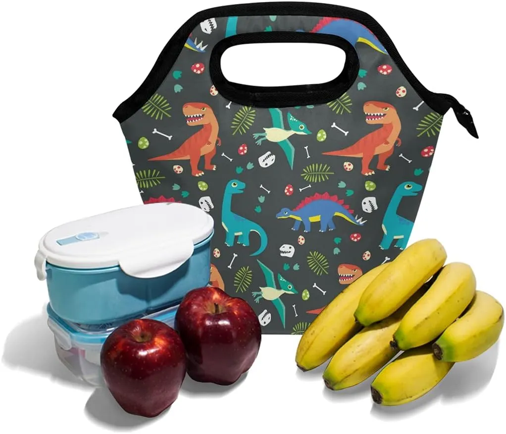 Dinosaur Lunchbox Insulated Lunch Bag Lunch Container Handbag for Women Men Girls Boys Kids Work Office School