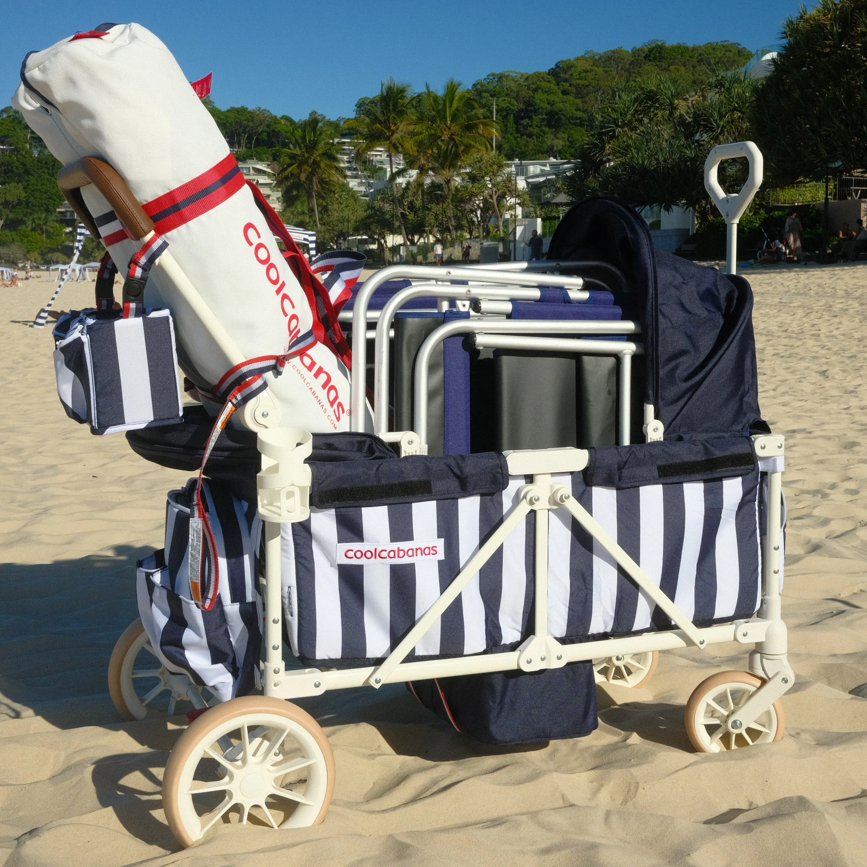 Double Stroller & Beach Cart