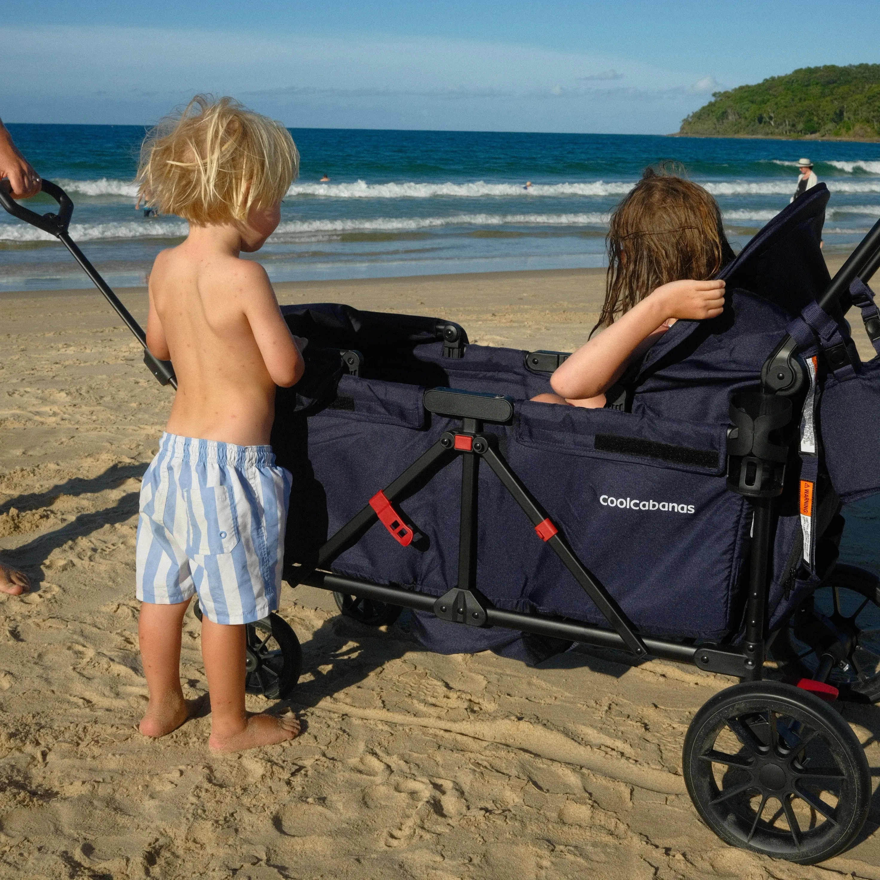 Double Stroller & Beach Cart