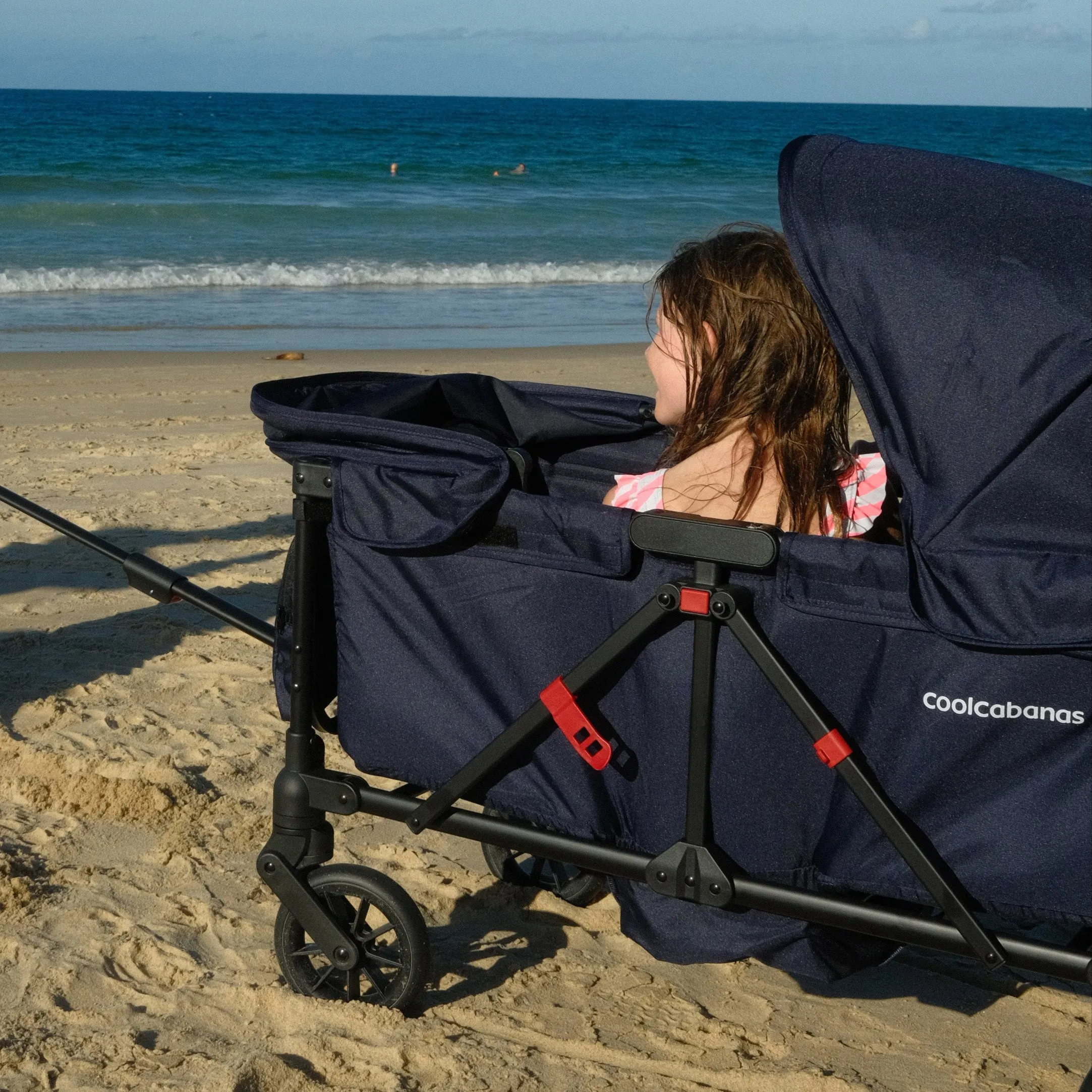 Double Stroller & Beach Cart