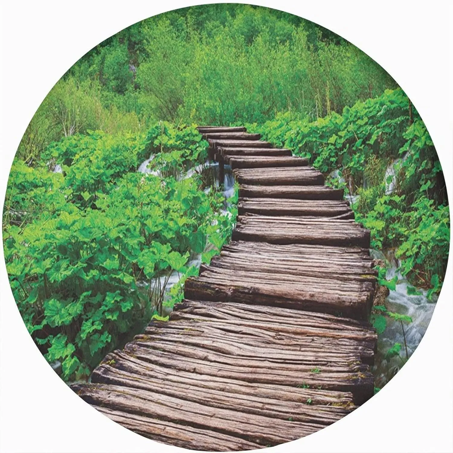 Forest Round Fitted Tablecloth Cover,Pathway in Pond Over Lake Natural Rainforests Print Elastic Edged Polyester Fitted Table Pad Fit Round Tables for Kitchen Dining Party-60x60 in