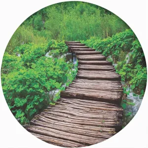 Forest Round Fitted Tablecloth Cover,Pathway in Pond Over Lake Natural Rainforests Print Elastic Edged Polyester Fitted Table Pad Fit Round Tables for Kitchen Dining Party-60x60 in