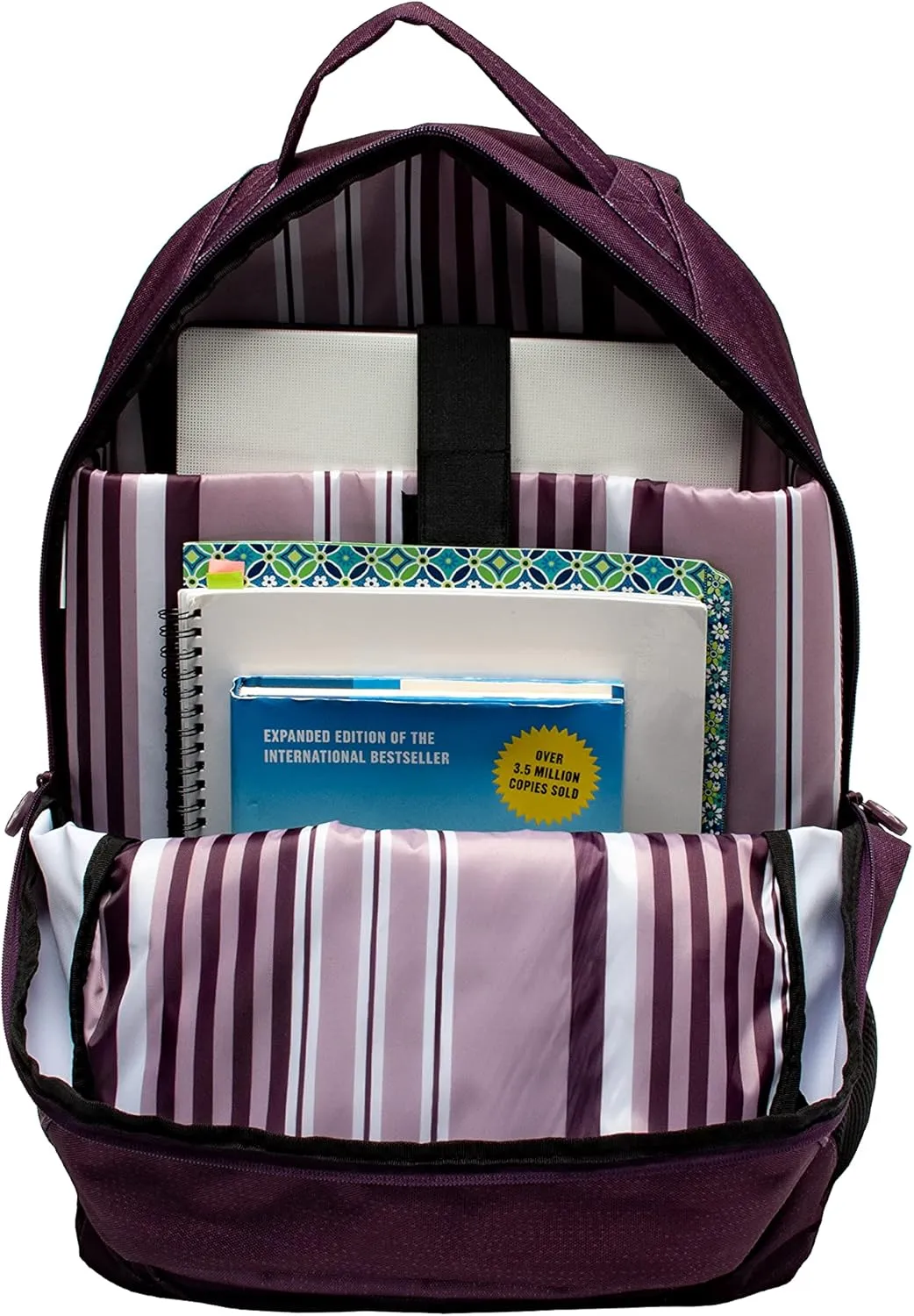 geckobrands Endurance Backpack - Plum