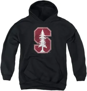 LOGOVISION Stanford University Official Distressed Primary Logo Youth Kids Boy/Girls Pull-Over Hoodie Sweatshirt