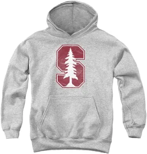 LOGOVISION Stanford University Official Distressed Primary Logo Youth Kids Boy/Girls Pull-Over Hoodie Sweatshirt