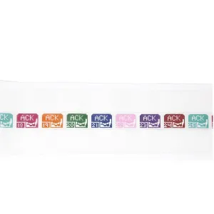 Nantucket Beach Permit Belt