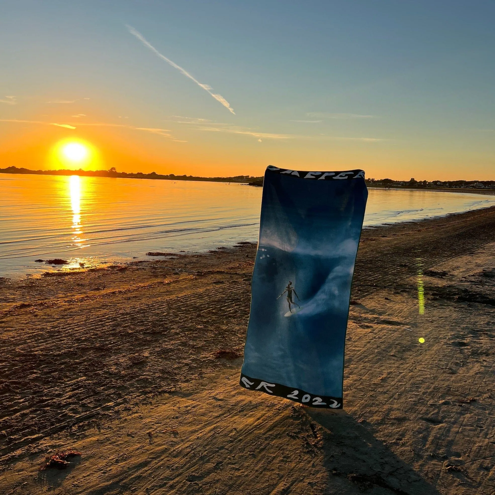Special Lemon Microfibre Beach Towel - Surfer Dog