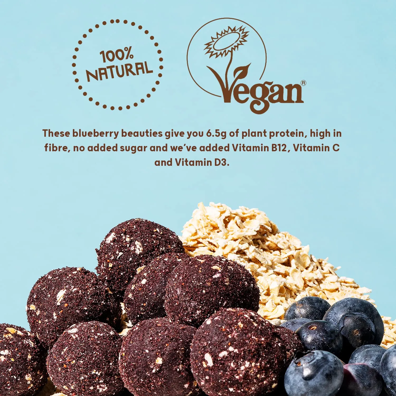 The Protein Ball Co Blueberry Oat Muffin Protein   Vitamin Balls (Breakfast To-Go) 10x45g
