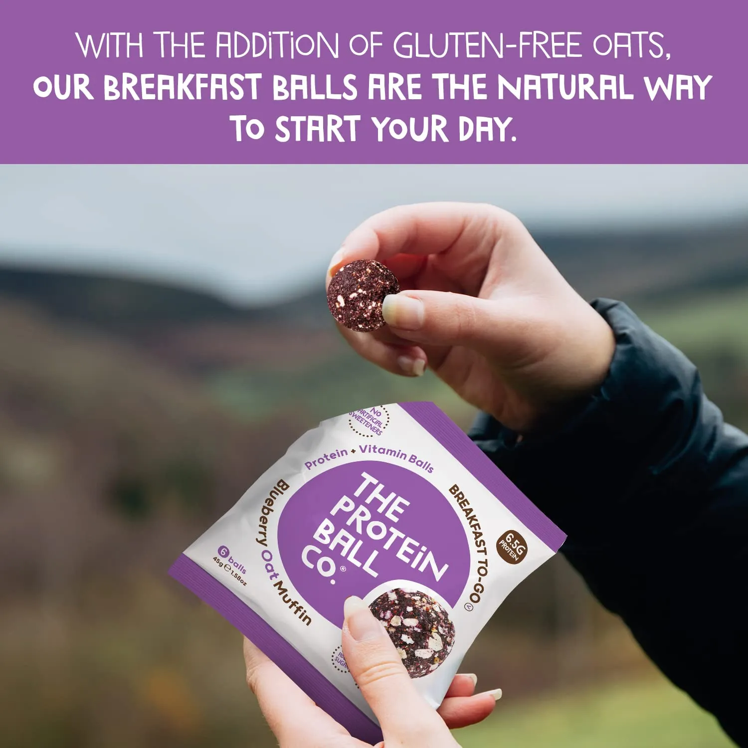 The Protein Ball Co Blueberry Oat Muffin Protein   Vitamin Balls (Breakfast To-Go) 10x45g