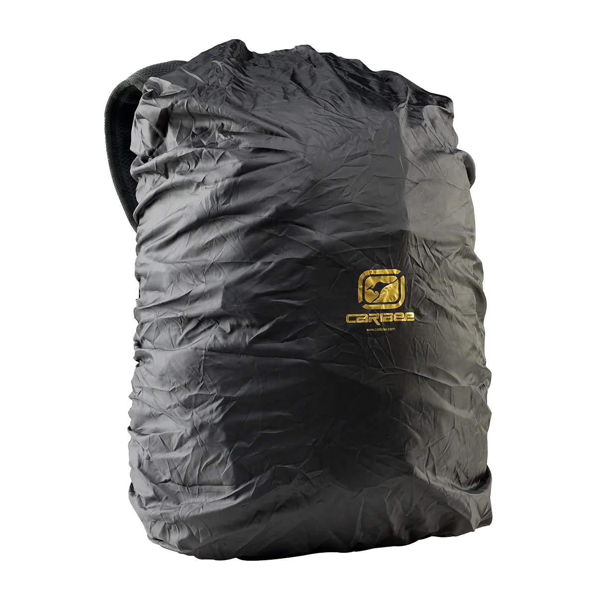 Wasp 30L
