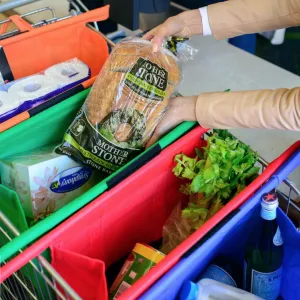 Worldwide delivery Grocery Bags Wholesale pricing Reusable Trolley