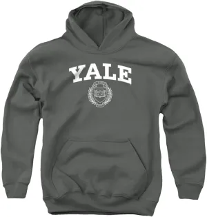 Yale University Official Yale Seal Youth Kids Boy/Girls Pull-Over Hoodie Sweatshirt