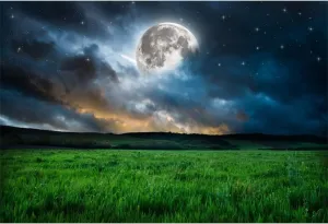 YongFoto 8x6ft Grassland Backdrop Green Prairie Bright Moon Galaxy Starry Sky Spring Nature Night Scenery Photography Background Baby Shower Birthday Decor Kids Adults Portrait Photo Studio Props