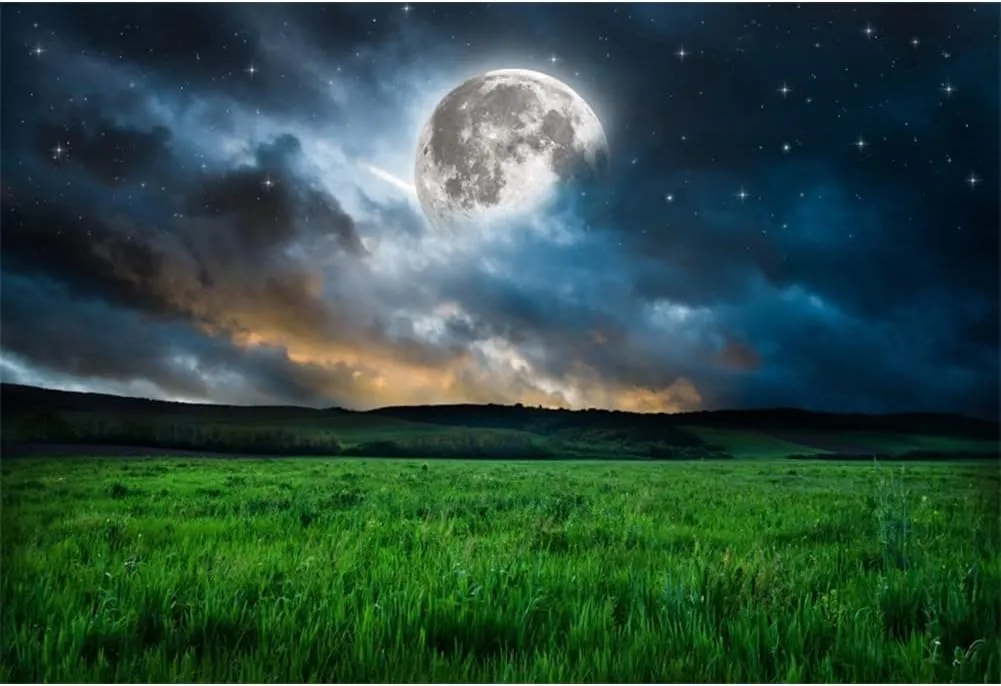 YongFoto 8x6ft Grassland Backdrop Green Prairie Bright Moon Galaxy Starry Sky Spring Nature Night Scenery Photography Background Baby Shower Birthday Decor Kids Adults Portrait Photo Studio Props